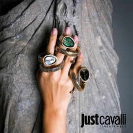 שעון יד Just Cavalli JC1L167M0025